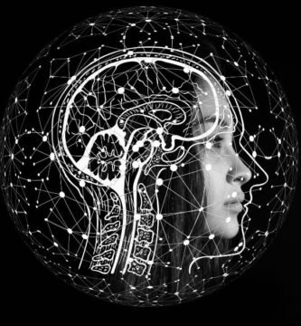 como ser mas inteligente pasos 5 minutos