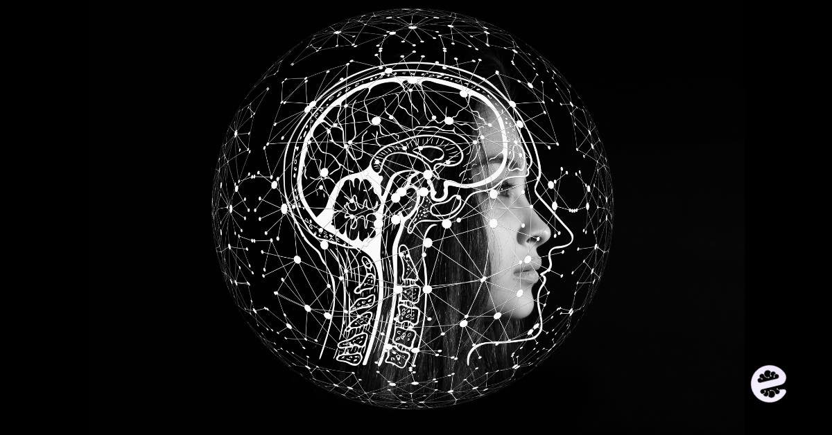 como ser mas inteligente pasos 5 minutos